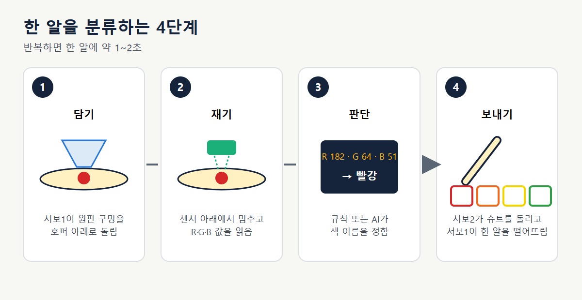 한 알을 분류하는 4단계